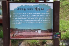 >  > >충남관광