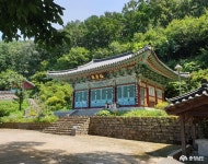 충남넷 모바일 [여행]서천 봉서사에서 만난 목조아미타여래삼존좌상과 뜻밖의 비천상