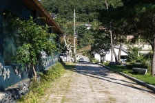  >  > >충남관광