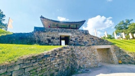  >  > >충남관광