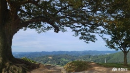 > > >충남관광