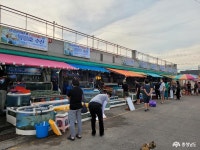 충남관광