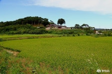  >  > >충남관광