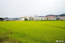  >  > >충남관광