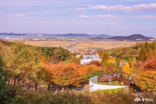 >  > >충남관광