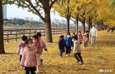  >  > >충남관광