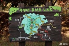 >  > >충남관광