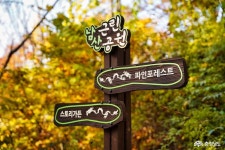 충남관광