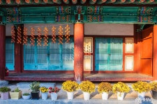  >  > >충남관광