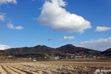  >  > >충남관광