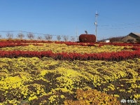 > > >충남관광 충남관광