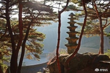 > > >충남관광