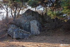 > > >충남관광