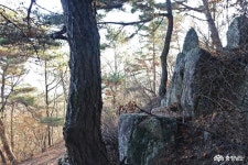 > > >충남관광