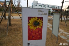 > > >충남관광