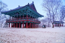 > > >충남관광