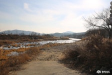 > > >충남관광