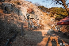 여행 - 사랑나무 보러 갈래? 노을 질 무렵 부여 성흥산성에서! - 충청남도 사랑나무 보러 갈래? 노을 질 무렵 부여 성흥산성에서!