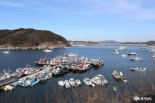 > > >충남관광