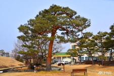 > > >충남관광