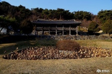 충남관광