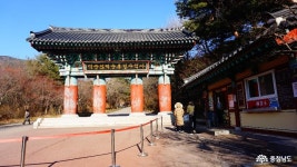 > > >충남관광