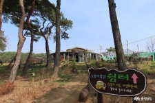 > > >충남관광
