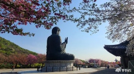 충남관광
