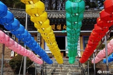 여행 - 싱그러운 봄을 한적하게 걷는다. - 충청남도 싱그러운 봄을 한적하게 걷는다.