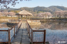 충남관광
