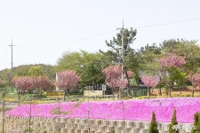 충남관광