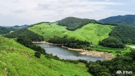 충남관광