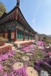 > > >충남관광