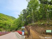 충남관광