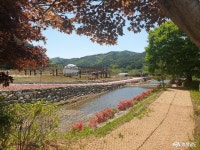 여행 - 청양 장곡리 새로운 쉼터, 알품스 공원 - 충청남도 청양 장곡리 새로운 쉼터, 알품스 공원