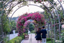 여행 - 5월 천안여행지 단대호수 장미정원 - 충청남도 5월 천안여행지 단대호수 장미정원