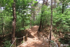 > > >충남관광