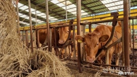 전체기사 - 충남.민관협치 전체기사 - 충청남도