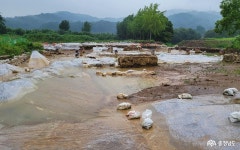 충남관광