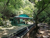 여행 - 자연의 소리 가득한 계룡산 갑사 - 충청남도 자연의 소리 가득한 계룡산 갑사