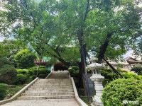 충남관광