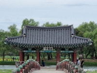 여행 - 연꽃이 시든 초가을의 궁남지는 어떤 모습일까요? - 충청남도 연꽃이 시든 초가을의 궁남지는 어떤 모습일까요?