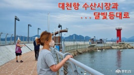 사는이야기 - 칠갑산 농사꾼들의 희망 만들기 - 충청남도 칠갑산 농사꾼들의 희망 만들기