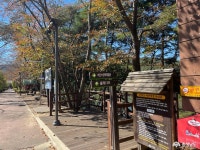 > > >충남관광 충남관광
