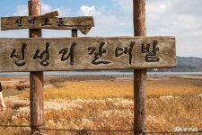 충남관광