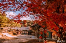 충남관광