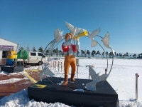 충남관광