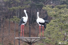 충남관광