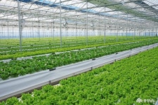 도정뉴스 - 스마트팜 신축 청년농에 3억 ‘쏜다’ <최대·자부담 9000만 원 포함> - 충청남도 스마트팜 신축 청년농에 3억 ‘쏜다’ <최대... 