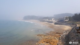여행 - 태안의 숨겨진 명소 천리포 - 충청남도 태안의 숨겨진 명소 천리포